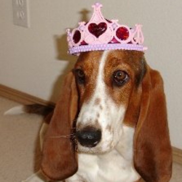 Meet your Posher, Shelly - Picture 2 of 2